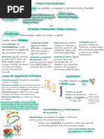 4- proteínas, lípidos, ácidos nucleicos y glúcidos