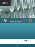 Etude Sur Les Opportunités de Valorisation Industrielle Du Ciment en RDC - Banque Mondiale - 2009