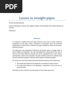 Losses in Straight Pipes Report 2