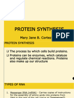 Protein Synthesis