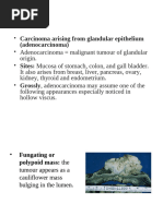 15-neoplasia 4