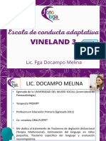 CURSO VINELAND 3 DIAPOSITIVAS FINAL