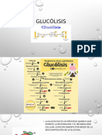 glucolisis