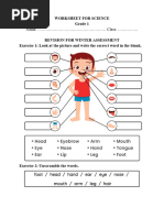 Worksheet - Science 1 - Revision for Winter Assessment  (1)