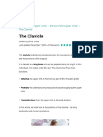 The Clavicle - Functions - Landmarks - Fractures - TeachMeAnatomy