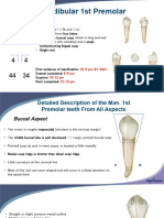 3. Lab Man. 1st and 2nd Premolars (1)