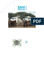 Red_Meat_value_chain_for_local_and_export_markets_-_SSA_Final__Report_June_2008