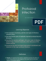 Protozoal Infection -SS