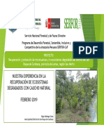 PP6-ProyRecuperacion-MDSanRoqueCumbaza-2019-02-21