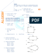 Adición-y-Sustracción-Algebraicas-de-Monomios-para-Sexto-de-Primaria