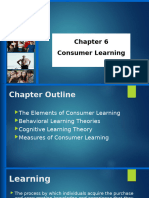 Chapter 6 Consumer Learning