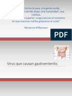 Tema 4 Virus Que Causan Gastroenteritis