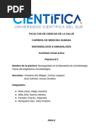 AVA 1- MICROBIOLOGÍA 4X-GRUPO 3