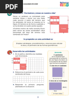 Ficha de reforzamiento-areas sombreadas