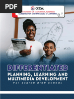 Differentiated Planning, Learning and Multimedia Development For