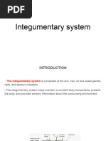 Integumentary System