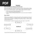 sdlc-to internet