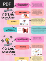 Sistema Endocrino 