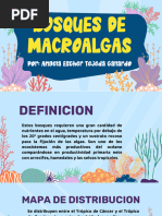 DIAPOSITIVAS_BOSQUES DE MACROALGAS