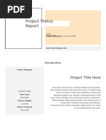 ProjectStatusReport_Orange