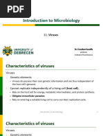 11_Viruses