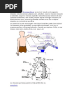 Efectores y Precision