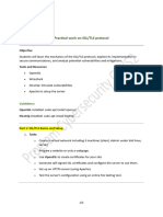 Practical Work on SSL[1]