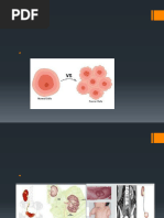 ALTERACIONES DEL CRECIMIENTO NEOPLASIAS2024