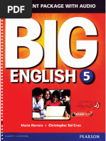 Big English 5 Assessment Package