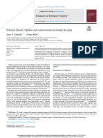 Perianal disease Updates and controversies in closing the gaps