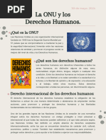 La ONU y los Derechos Humanos