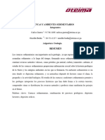 Informe (1)5r6