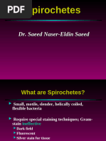 6 - Spirocheates -Syphilis dental FFFF