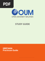 HBEF4606 Practicum Guide - SG (vAug19)