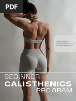 Free Beginner Calisthenics Guide