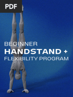 Free Beginner Handstand Guide