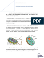 Tema-2-TBE