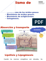 CLASE 5 - Metabolismo de Lipidos I