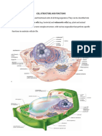 CELL STRUCTURE AND FUNCTIONS