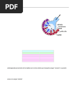 Hematosis_Respiración tisular