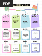 Mapa propioceptivo.pdf