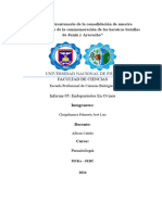 José Luis Chiquihuanca Piñarreta. Informe 05_ Entoparasitos en Porcinos (1)