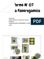 fanero lab 7