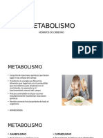 Metabolismo 1 Para Imprimir