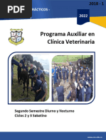 RELATORIA - Segundo VETERINARIA