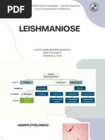 Leishmaniose - RESUMO