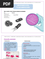 Epe 210.- Bacterias Trabajo Grupal - Microbiologia y Parasitologa