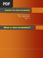 Explain The Idea Incubation