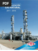 LibroPlan de Industrialización Del Gas Natural 2011 - 2016ok