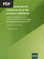 Instrucciones PEC individual (Proyecto)